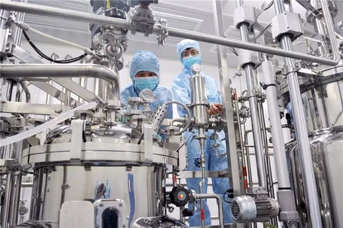 2019寧波杭州灣新區發展展望 警惕灰犀牛與黑天鵝事件對網絡設備領域的影響